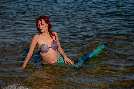 Mermaid-792-1